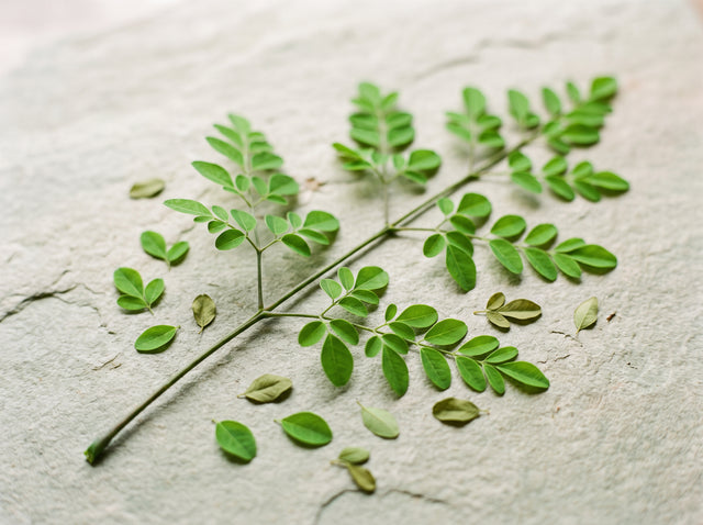 Moringa