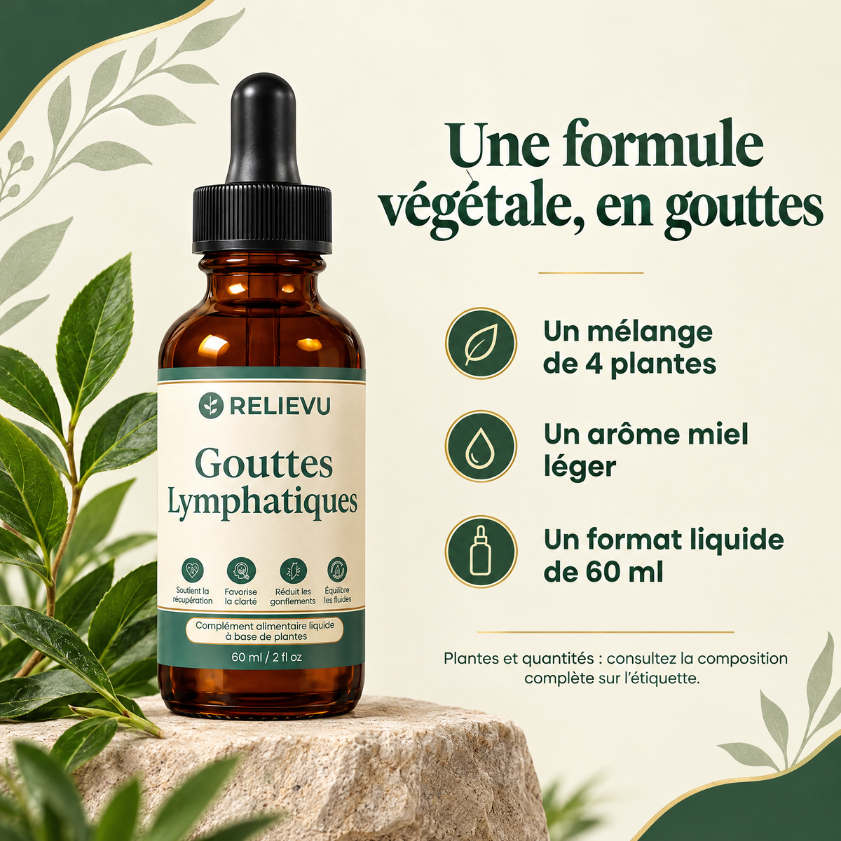 Complexe végétal pour le système lymphatique — formule