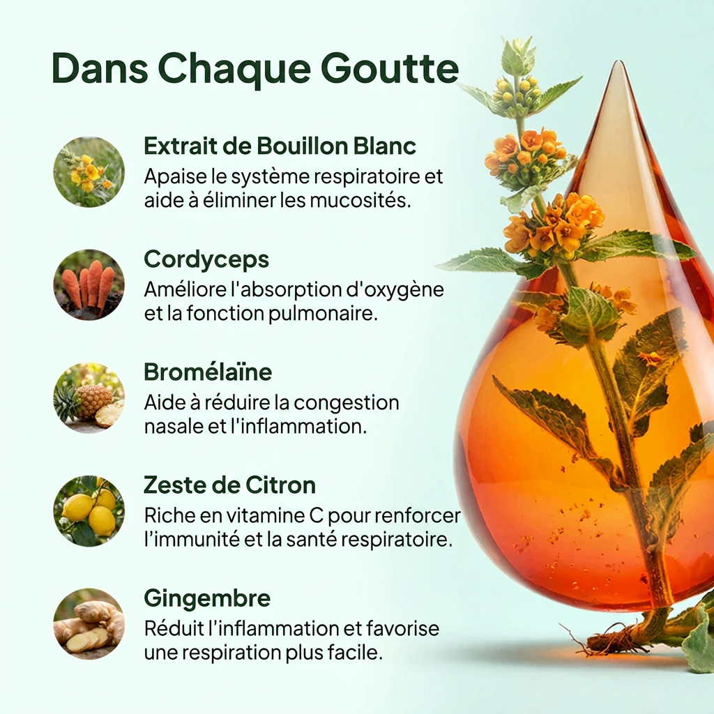Dans chaque goutte — ingrédients actifs