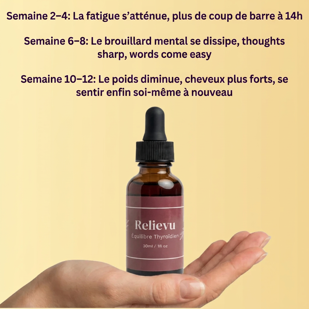 Relievu tenu en main avec calendrier de résultats