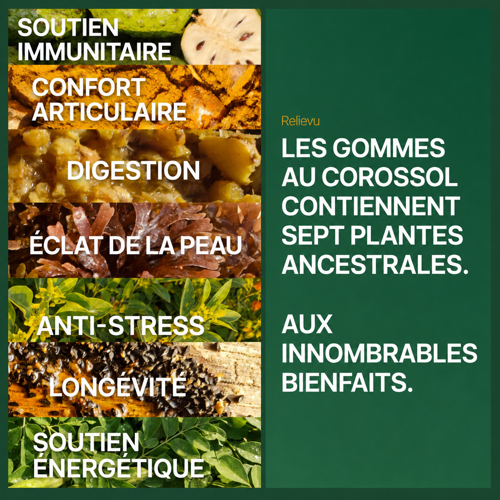 Sept plantes ancestrales aux innombrables bienfaits