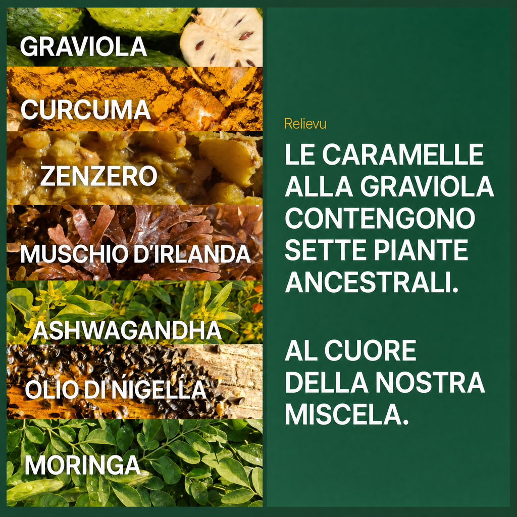 Sette piante della formula: graviola, curcuma, zenzero, muschio d'Irlanda, ashwagandha, olio di nigella, moringa