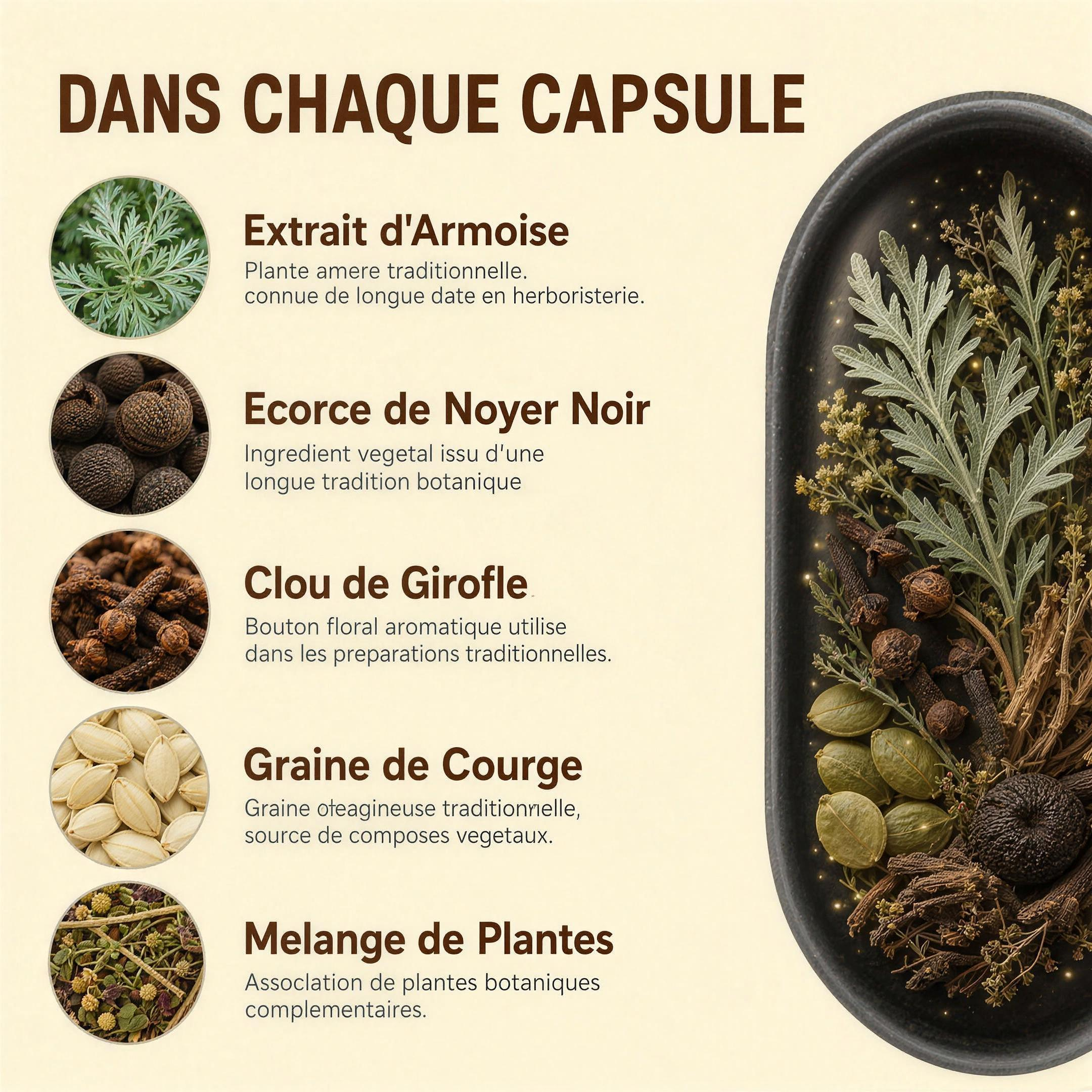 Dans chaque capsule : armoise, écorce de noyer noir, clou de girofle, graine de courge et mélange de plantes