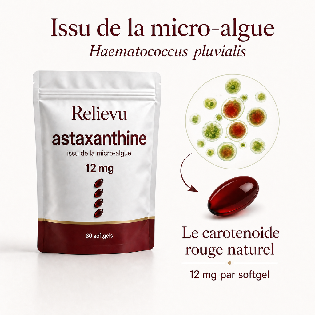 Astaxanthine issue de la micro-algue Haematococcus pluvialis, le carotenoide rouge naturel
