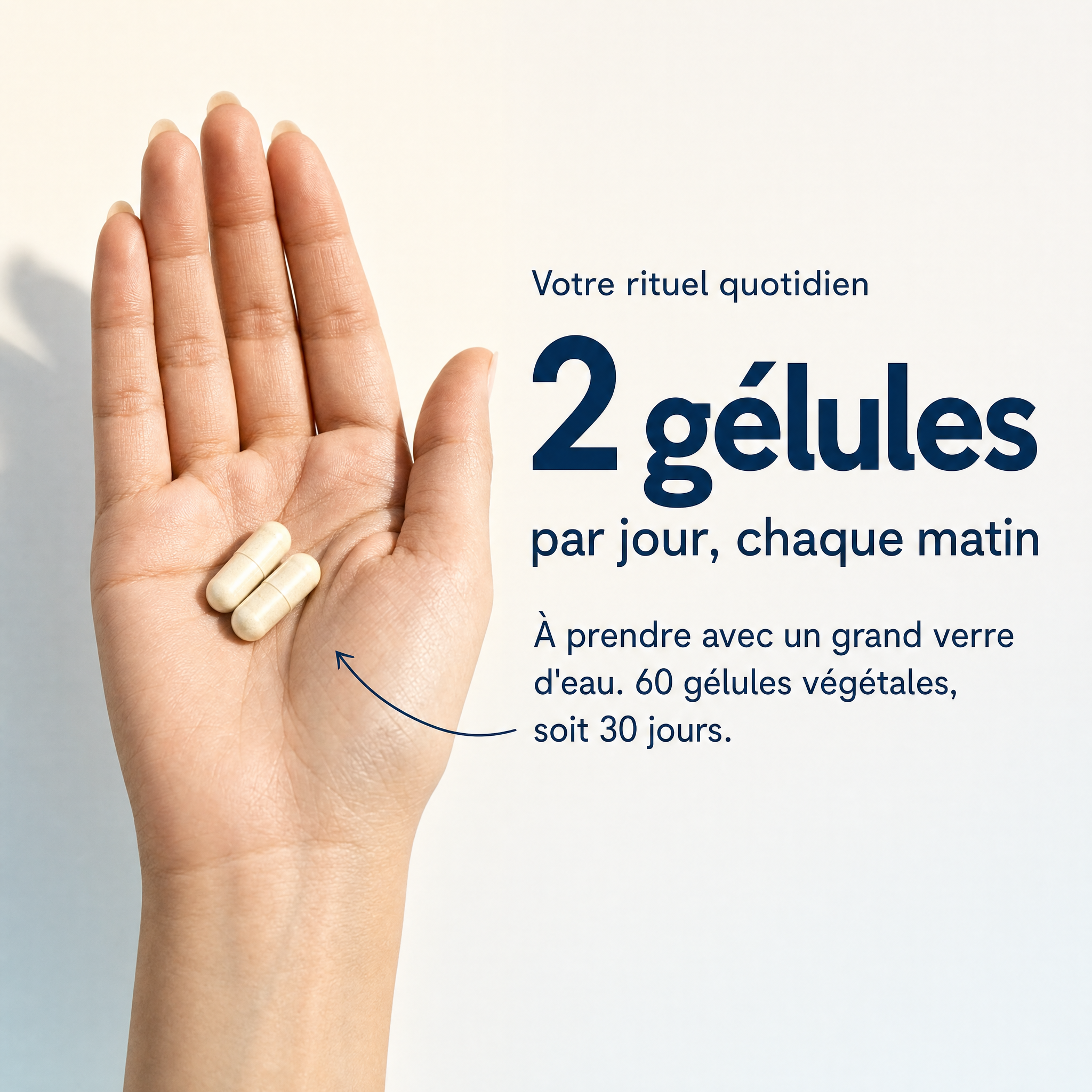 Votre rituel quotidien : 2 gélules par jour chaque matin avec un grand verre d'eau, 60 gélules végétales