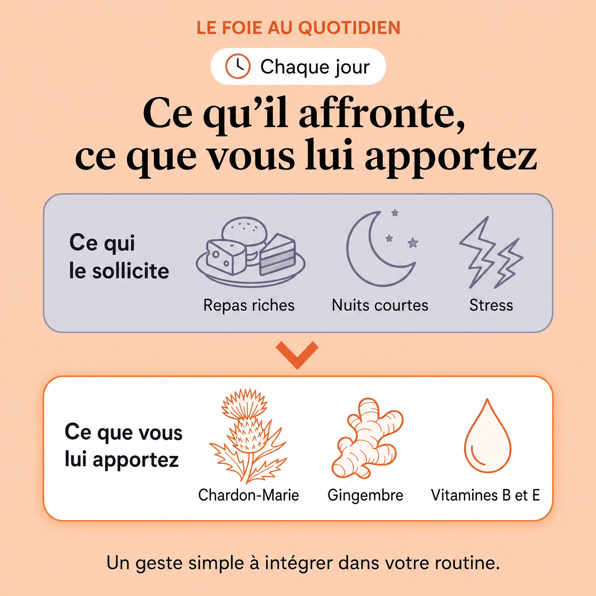 Ce qui sollicite le foie au quotidien et ce que la formule lui apporte