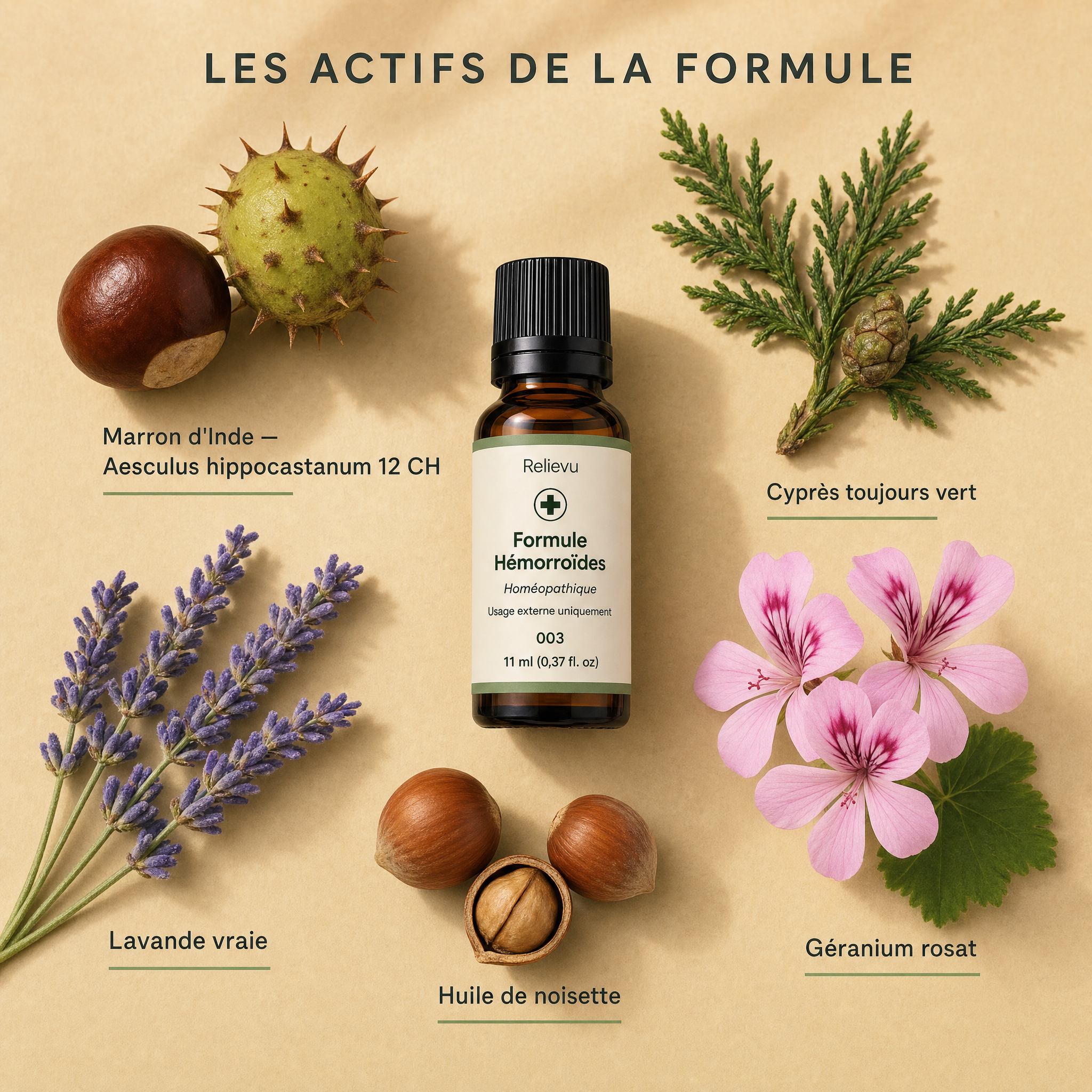 Les actifs de la formule : marron d'Inde, cyprès toujours vert, lavande vraie, géranium rosat et huile de noisette