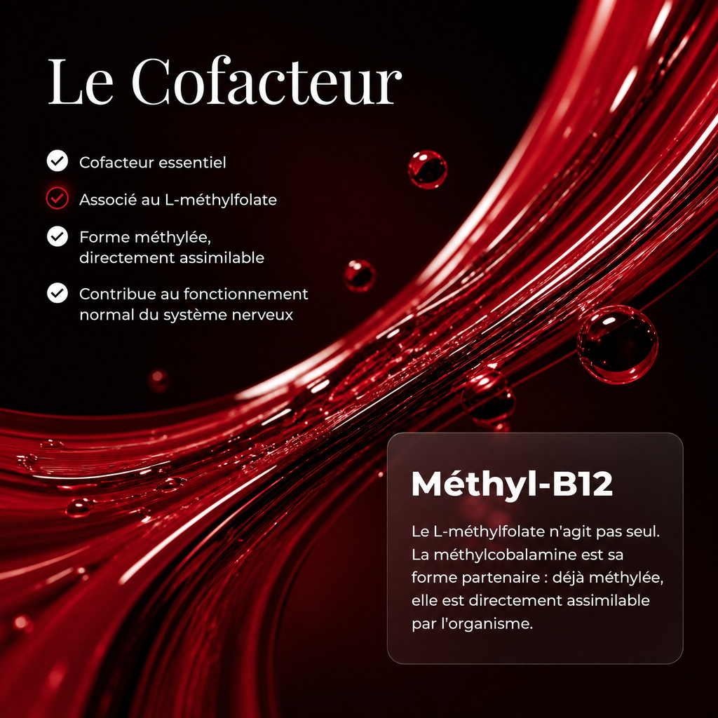 Le cofacteur : la méthyl-B12 contribue au fonctionnement normal du système nerveux