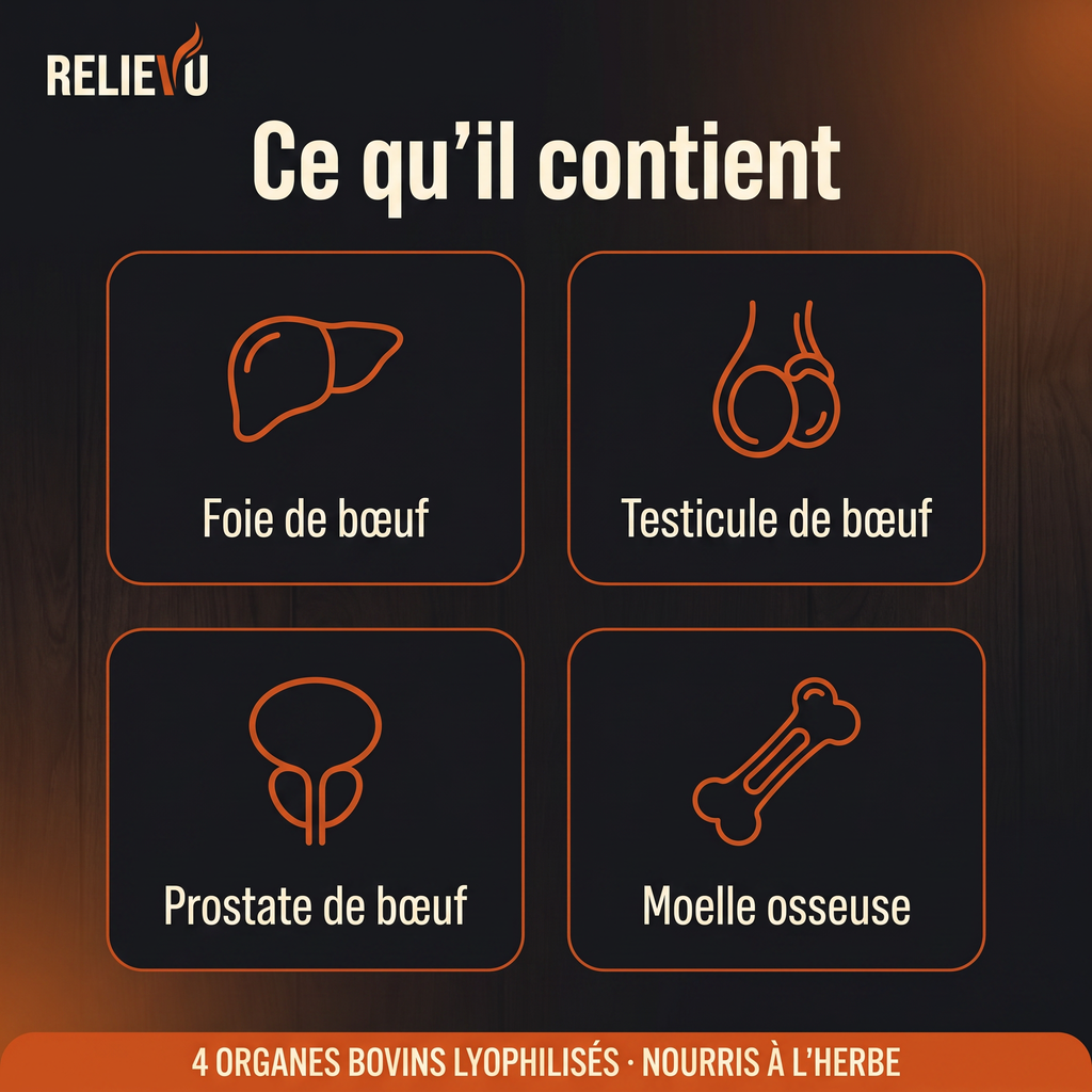 Composition de Relievu Vital Bull : foie de bœuf, testicule de bœuf, prostate de bœuf et moelle osseuse, quatre organes bovins lyophilisés issus de bovins nourris à l'herbe.