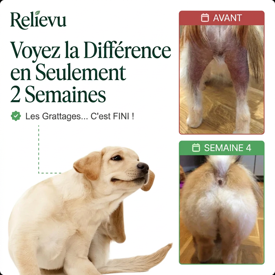 Relievu Spray de Traitement Cutané pour Animaux - Anti-Démangeaisons