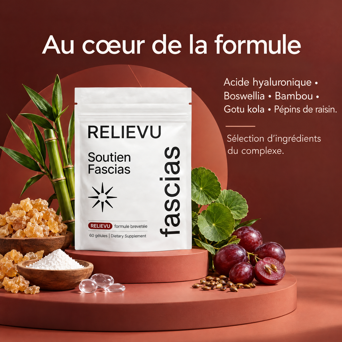 Complexe De Soutien Des Fascias — Composition