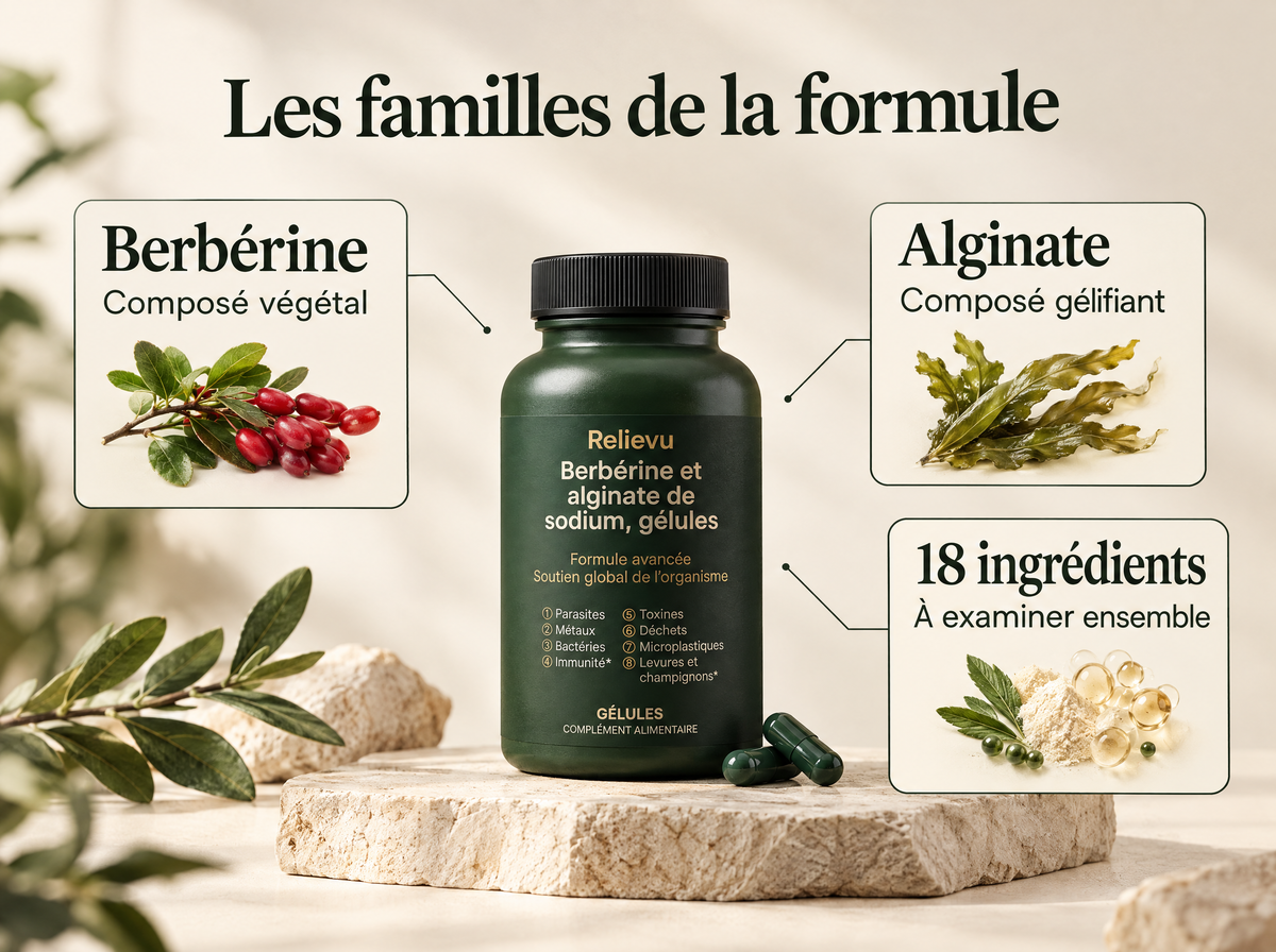 Berbérine et alginate de sodium : infographie de la formule et du format.