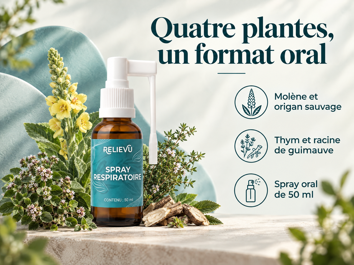 Spray molène, origan et thym — Quatre plantes, un format oral ; Molène et origan sauvage ; Thym et racine de guimauve ; Spray oral de 50 ml