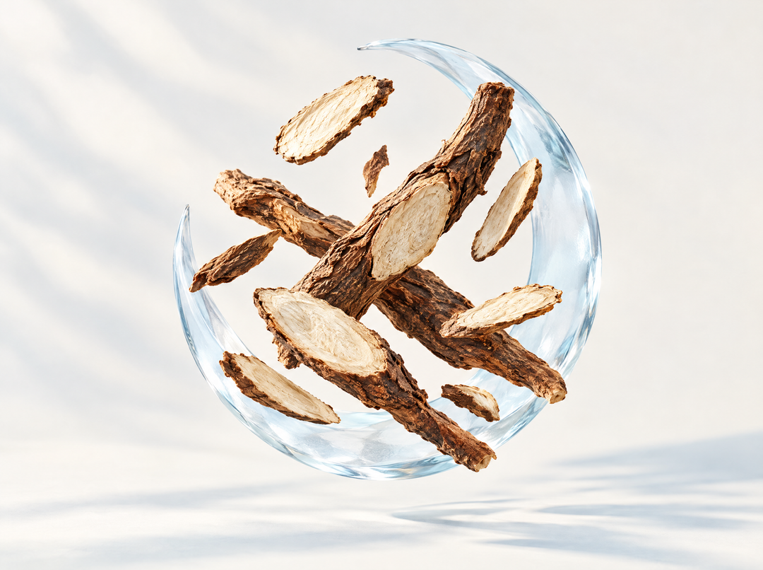Illustration de Racine de Lindera — Formule scandinave pour la vessie