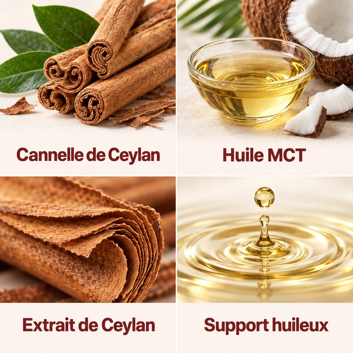 Cannelle De Ceylan 7 200 mg Et Huile MCT — Les ingrédients à découvrir