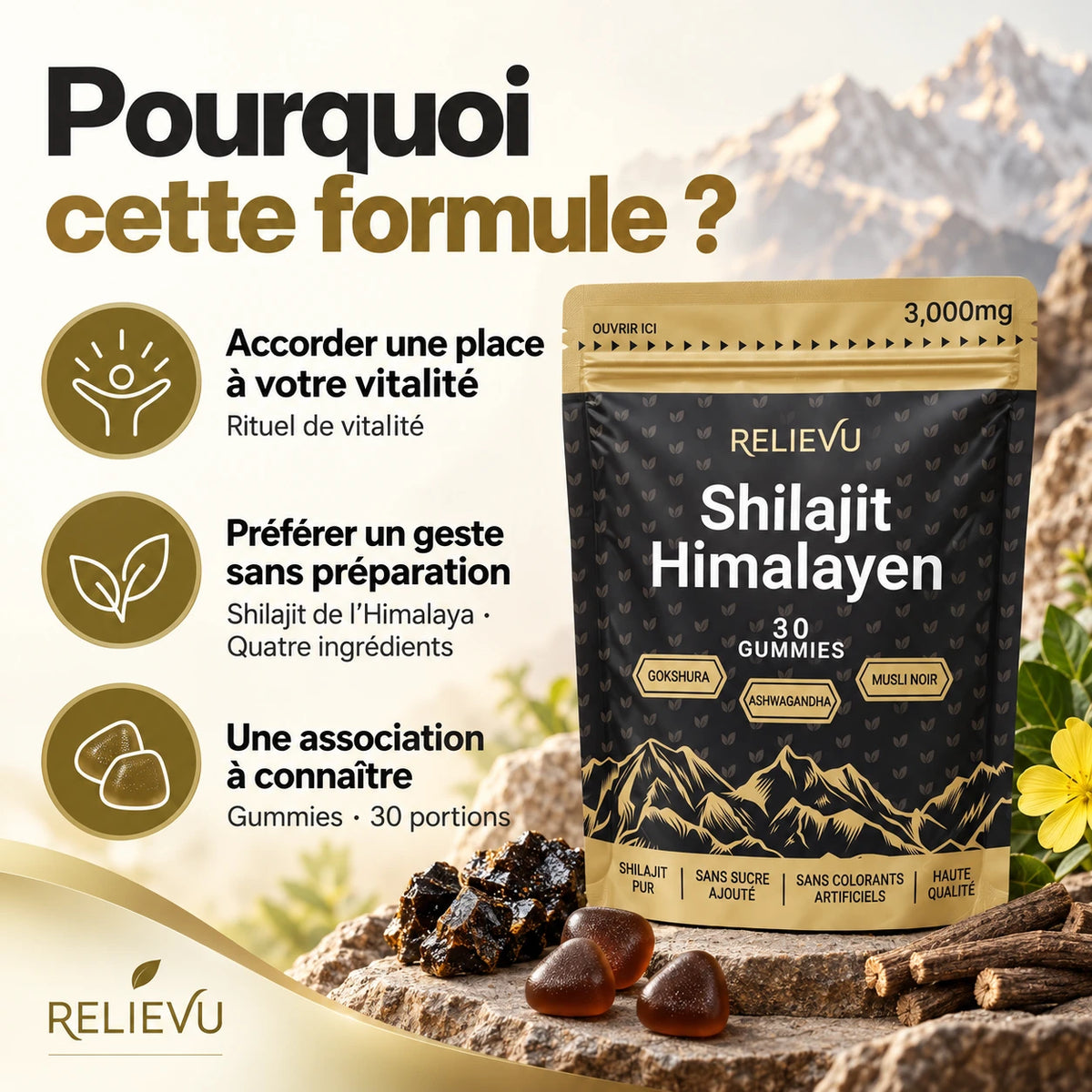 Shilajit Himalayen 3 000 mg — Pourquoi choisir cette formule