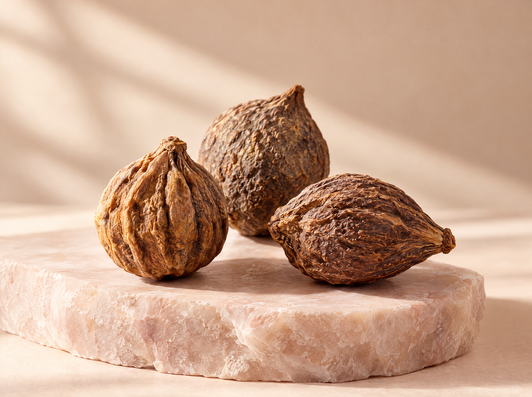 Regularity Reset, kiwi et magnésium — Triphala, composition abstraite.
