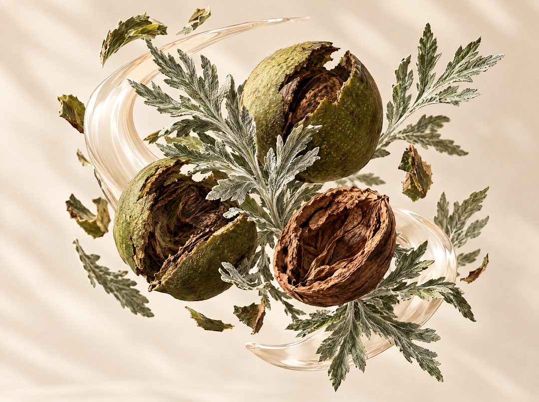 Absinthe, Brou De Noix Et Clou De Girofle 6 600 mg — illustration : Absinthe & brou de noix noire