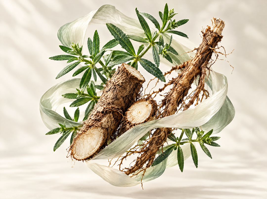 Complexe Lymphatique Liposomal — illustration : Gaillet, bardane & pissenlit