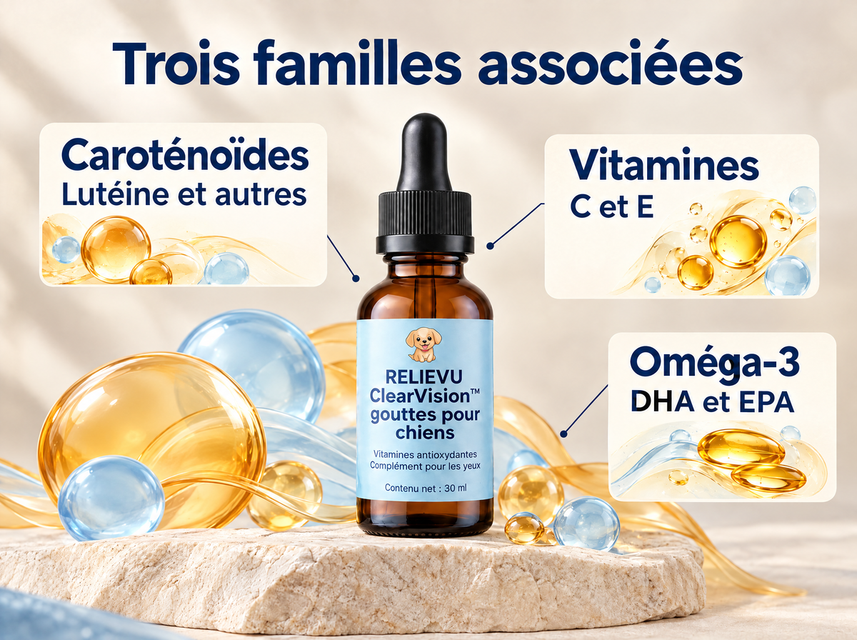 ClearVision, soutien nutritionnel des yeux du chien : infographie de la formule et du format.