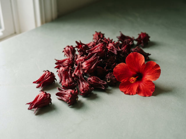 Hibiscus